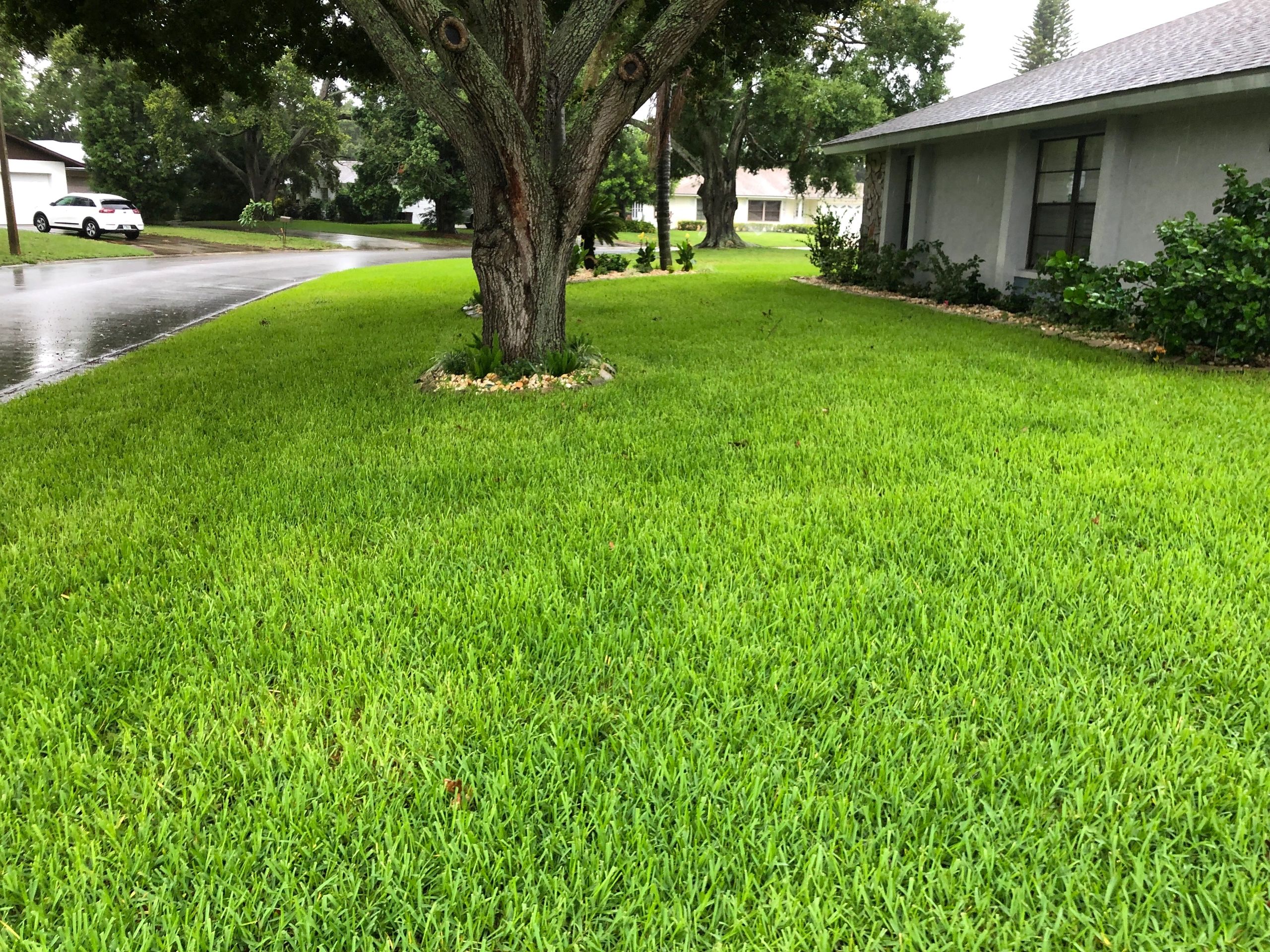 sod-world-bahia-sod-sod-installation-sod-world